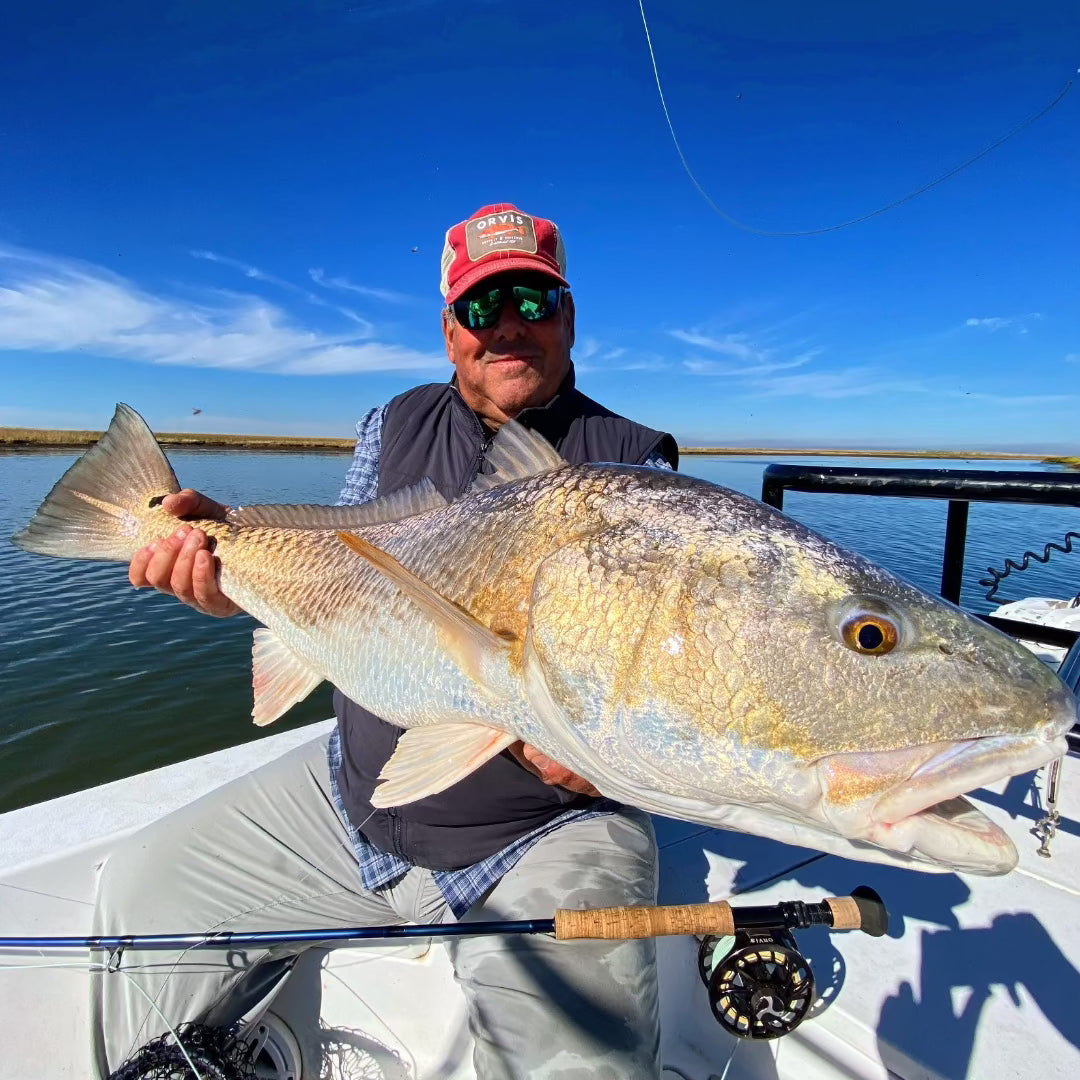Louisiana Redfish
